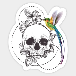 Skull Design, Beautiful Skull Art, Line Artwork, Colorful Bird Sticker